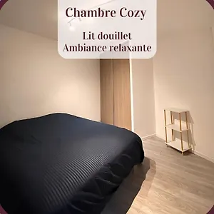 Appartement 2 Pieces Rdc En Duplex Vue Cour Parking Gratuit A 20metres, Roanne